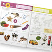 Picture of PHONICS WORKBOOK